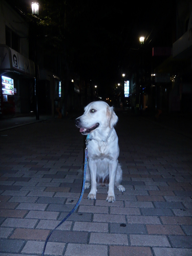 10〜 003.jpg