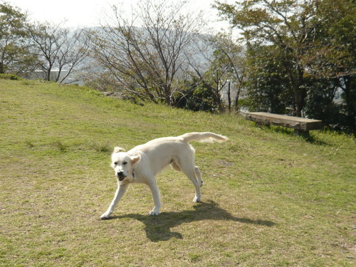 10〜 342.jpg
