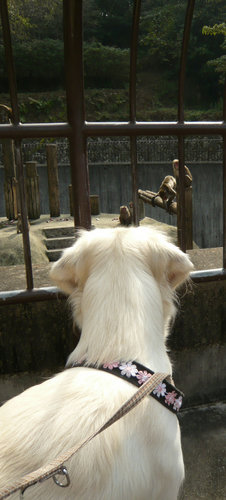 10〜 440.jpg