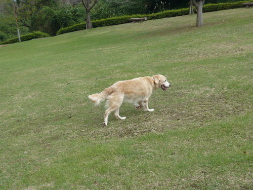 10〜 857.jpg