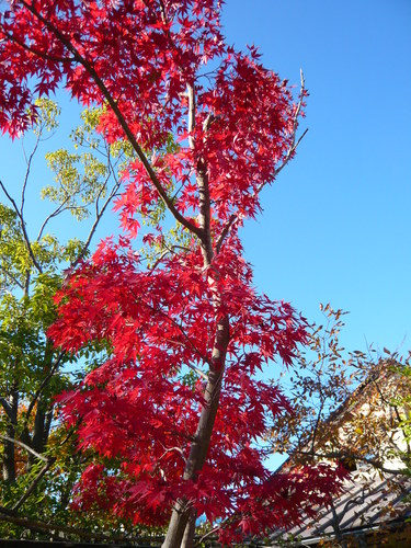 11月〜 1057.jpg