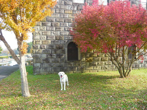 11月〜 1216.jpg