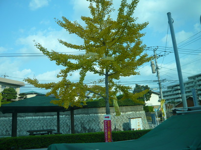 22年10月〜 020.jpg