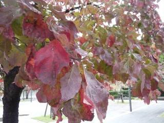 22年10月〜 089.jpg