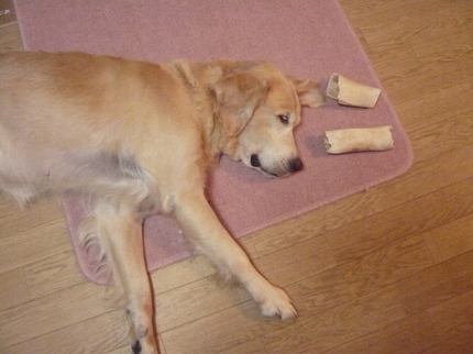 22年10月〜 093.jpg