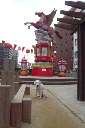 23年1月〜 266.jpg