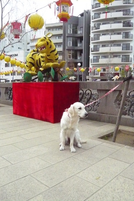 23年1月〜 264.jpg