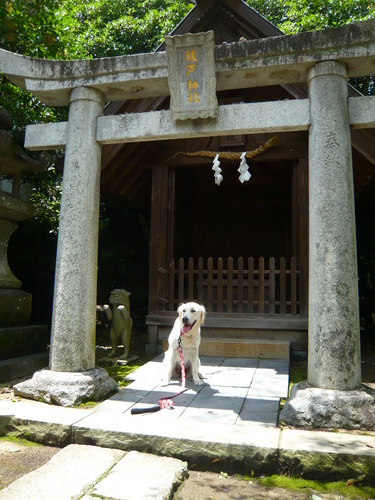 23年6月 219.jpg