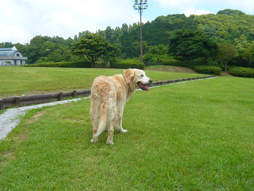 23年6月 356.jpg