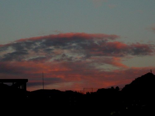 23年6月 376.jpg