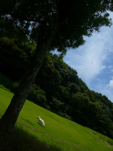 23年7月〜 130.jpg