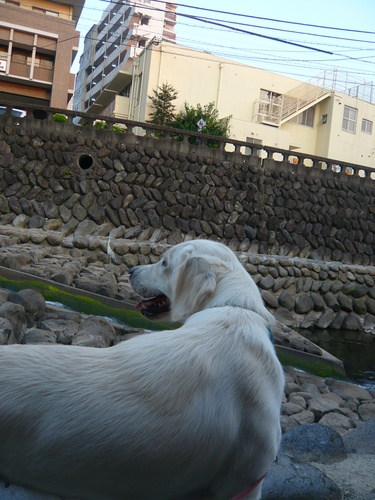 23年7月〜 750.jpg