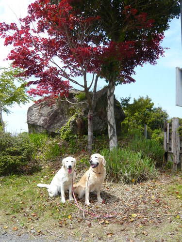 23年5月〜 359.jpg