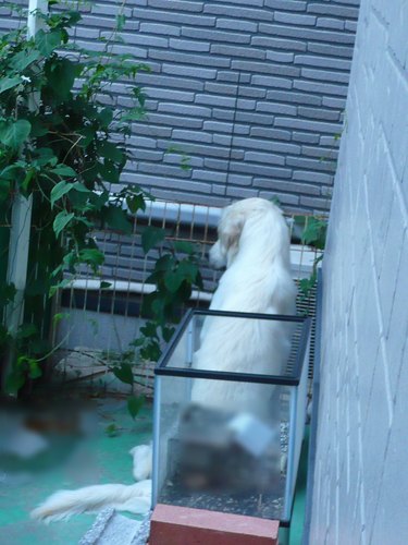 23年5月〜 856.jpg