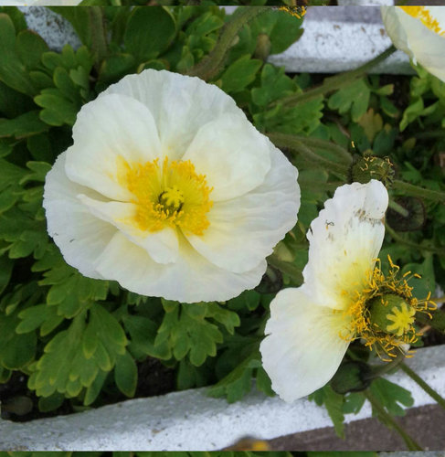 24年4月 034.jpg