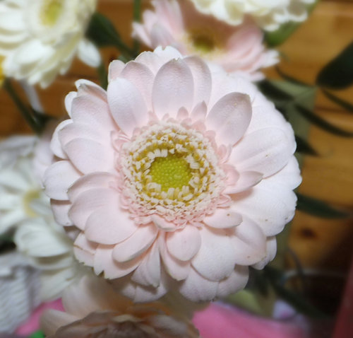 24年1月 138.jpg