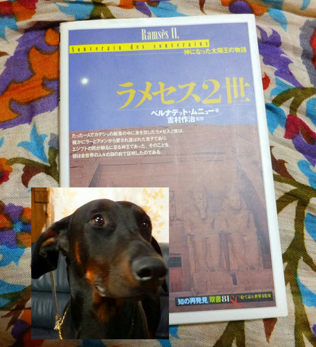 24年1月 491.jpg