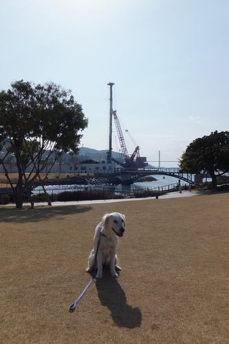 24年1月 945.jpg