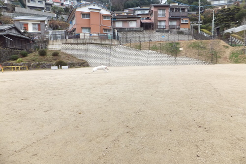24年2月 028.jpg