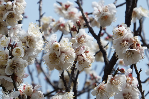 24年2月 424.jpg