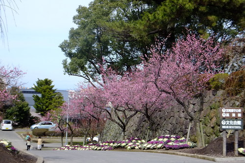 24年2月 434.jpg