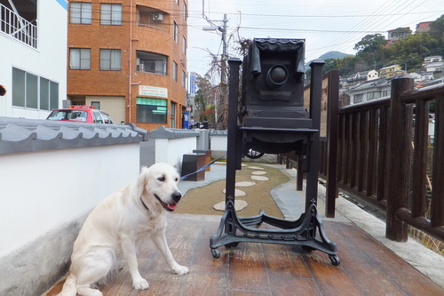 24年3月 246.jpg