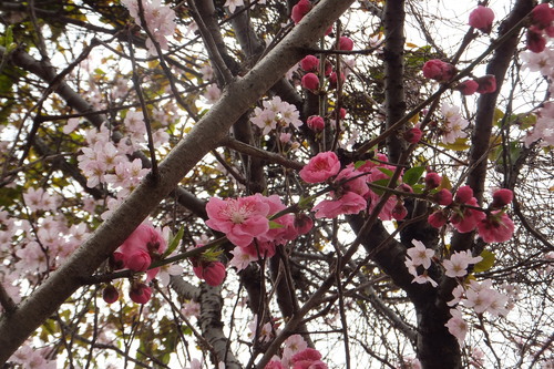 24年3月 253.jpg
