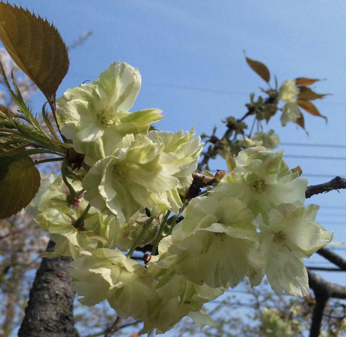 24年4月 049.jpg