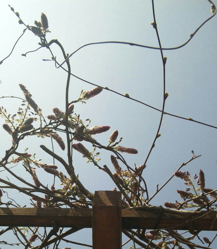 24年4月 056.jpg