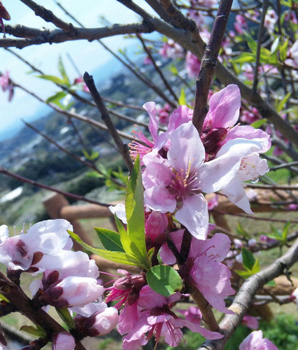 24年4月 061.jpg