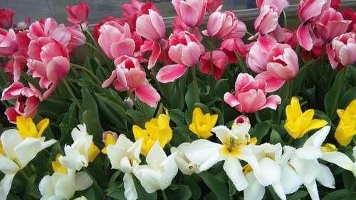 24年4月 071.jpg