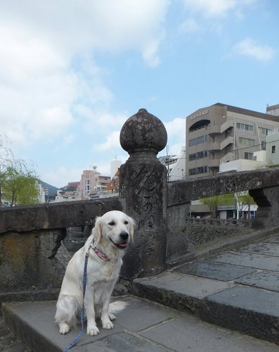24年4月 084.jpg