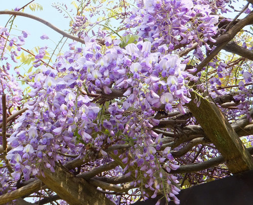 24年4月 176.jpg