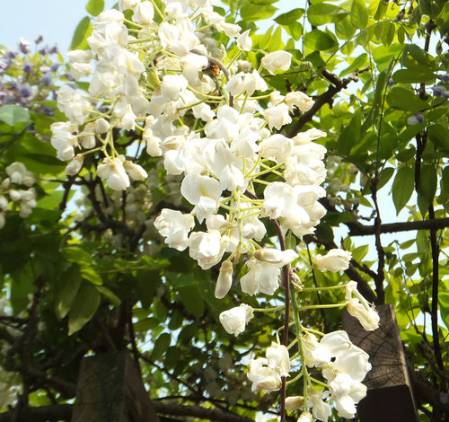 24年4月 193.jpg