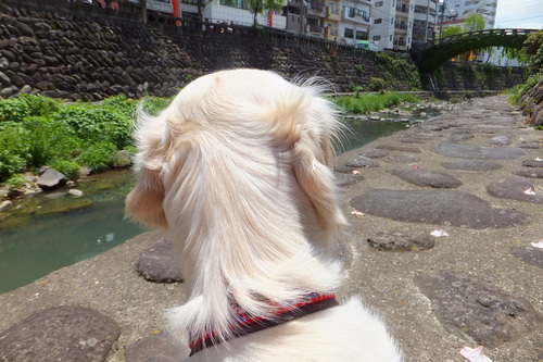 24年5月 009.jpg