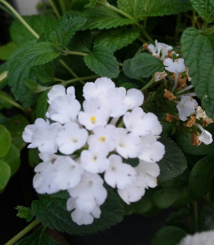 24年5月 069.jpg