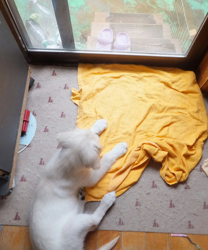 24年7月 067.jpg