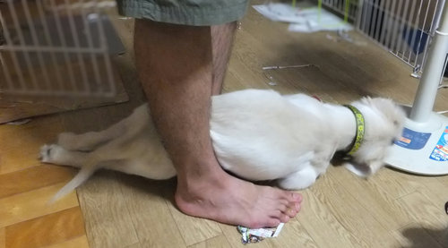 24年8月 068.jpg