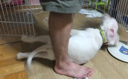 24年8月 069.jpg