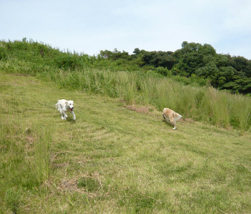 26森山b&s.jpg