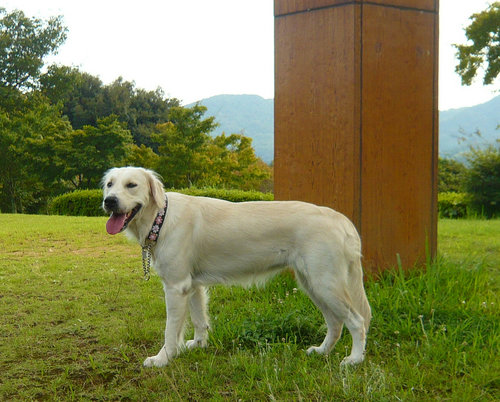 31すず2.jpg