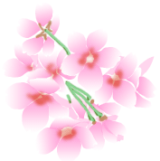 5d.biglobe.桜.gif