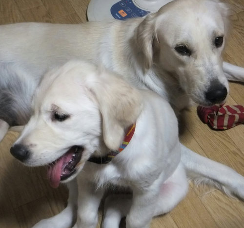 6 まつり&すず.jpg