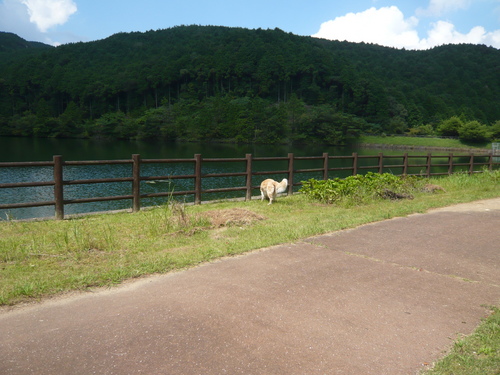 9-4〜 171.jpg