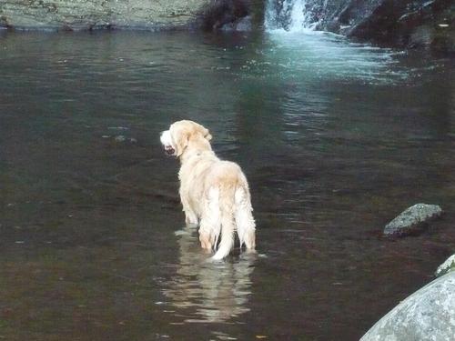 川の中でブータン.jpg