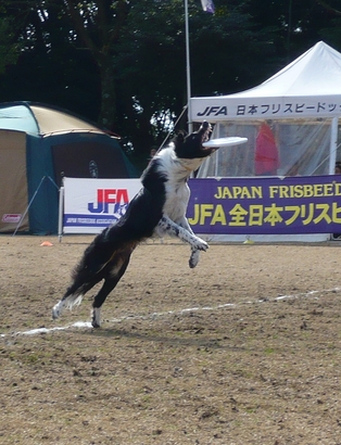 DDボーダー3.jpg