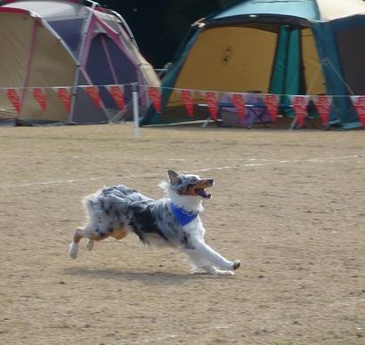 DDライチ.jpg