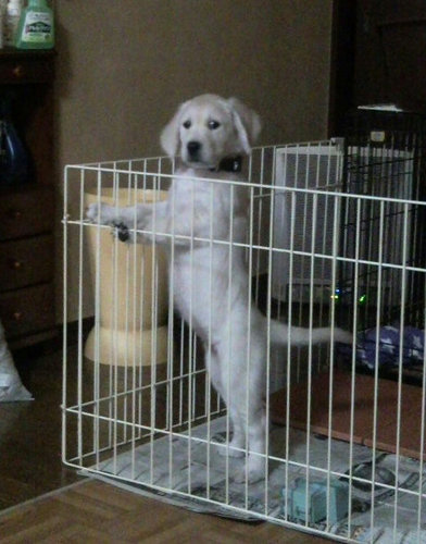 いと1.jpg