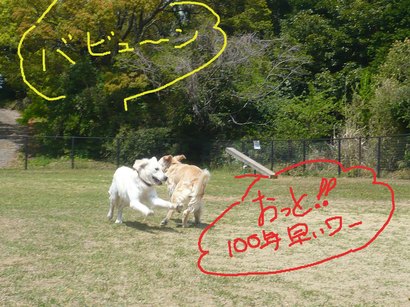こま割ー1の2.jpg