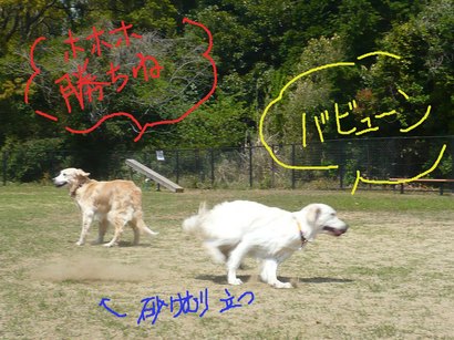 こま割ー1の3.jpg